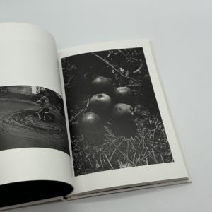 North Point - 画像 (6)