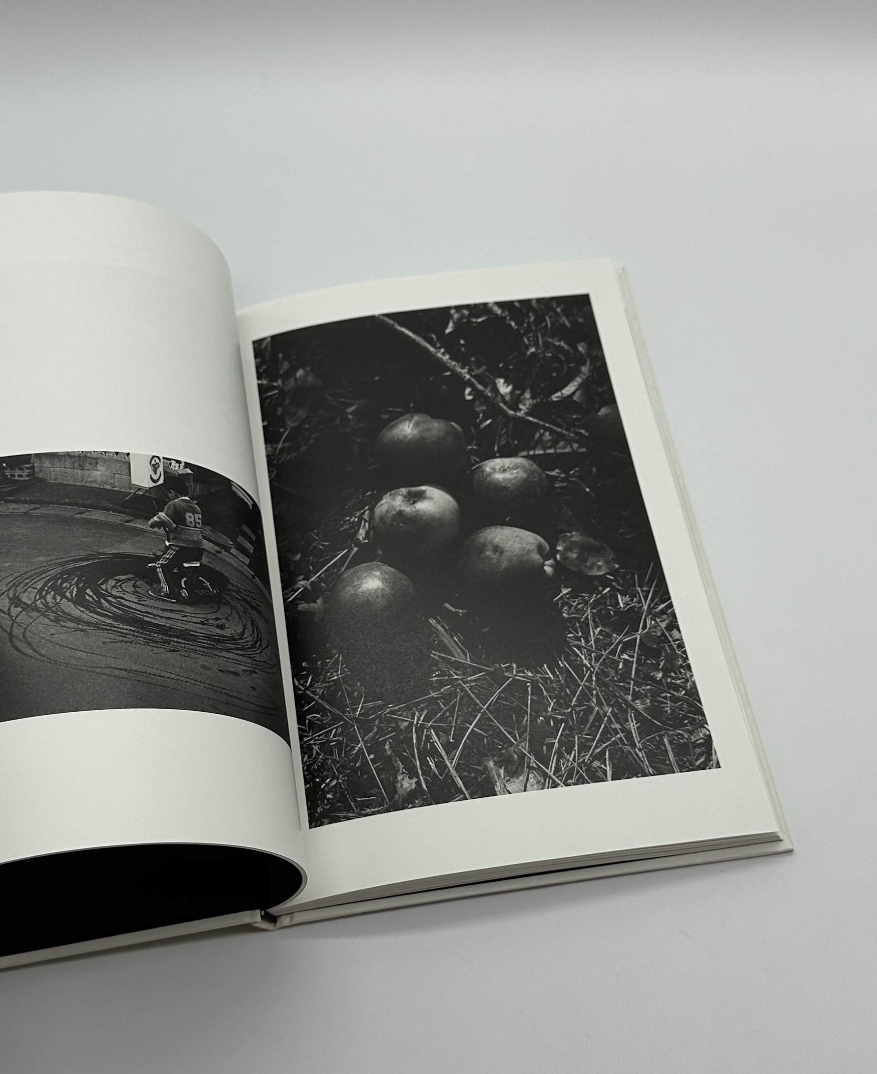 North Point - 画像 (6)