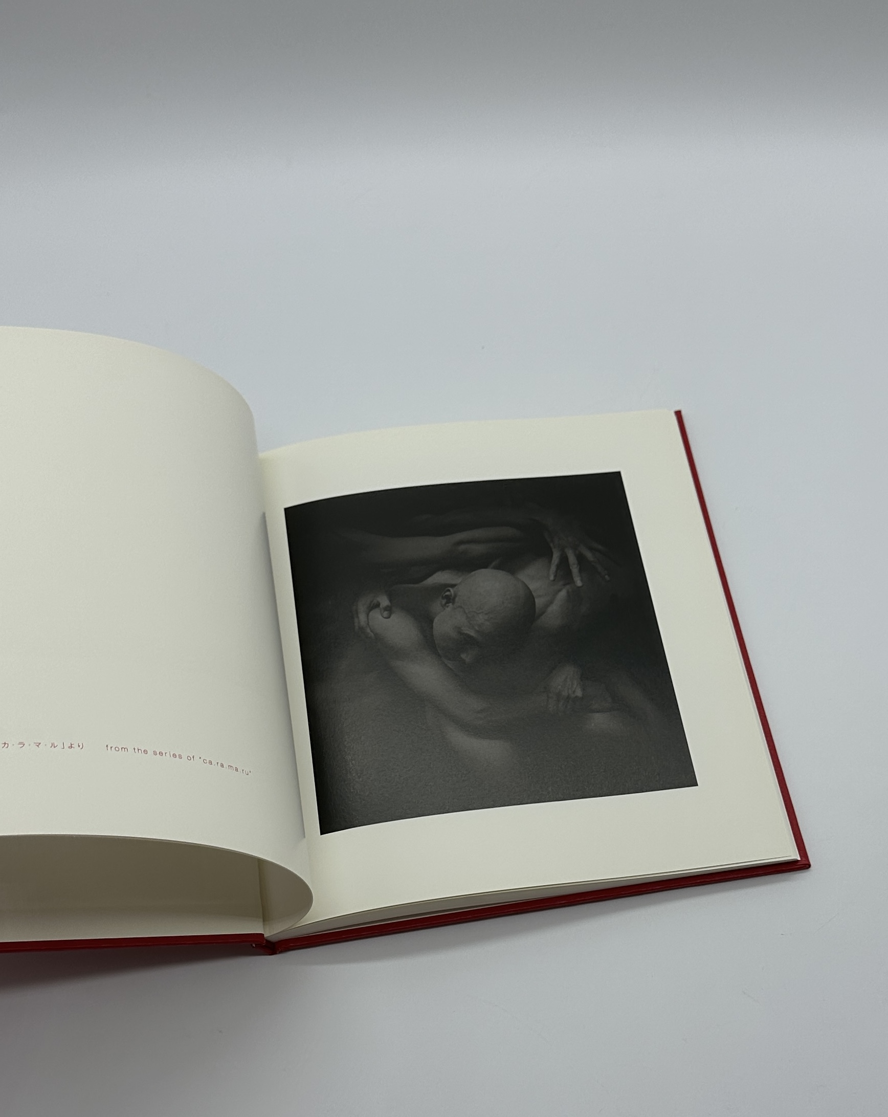 「署名入」一九九三　一九九六 - 画像 (2)