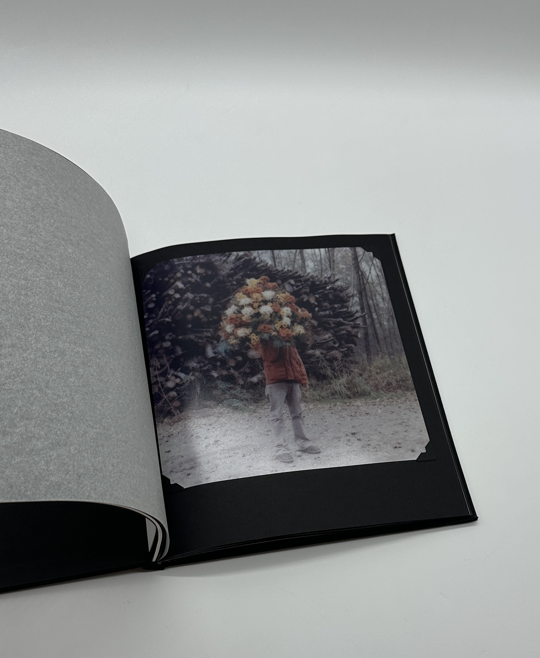 Alle Von Denen - 画像 (4)