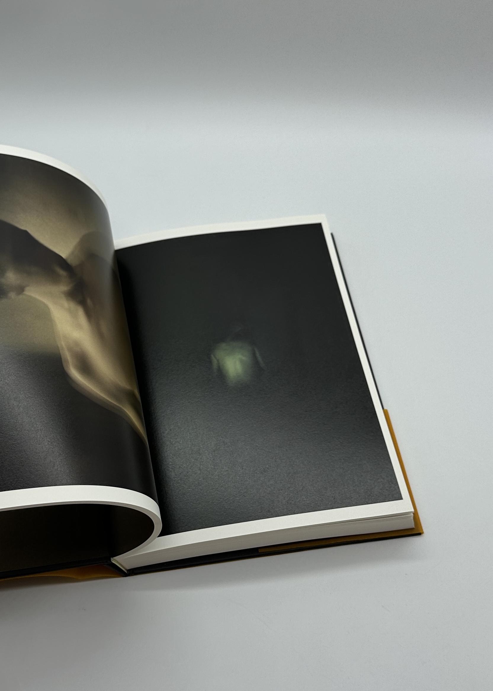 Self-Portraits 1987-2017 - 画像 (8)