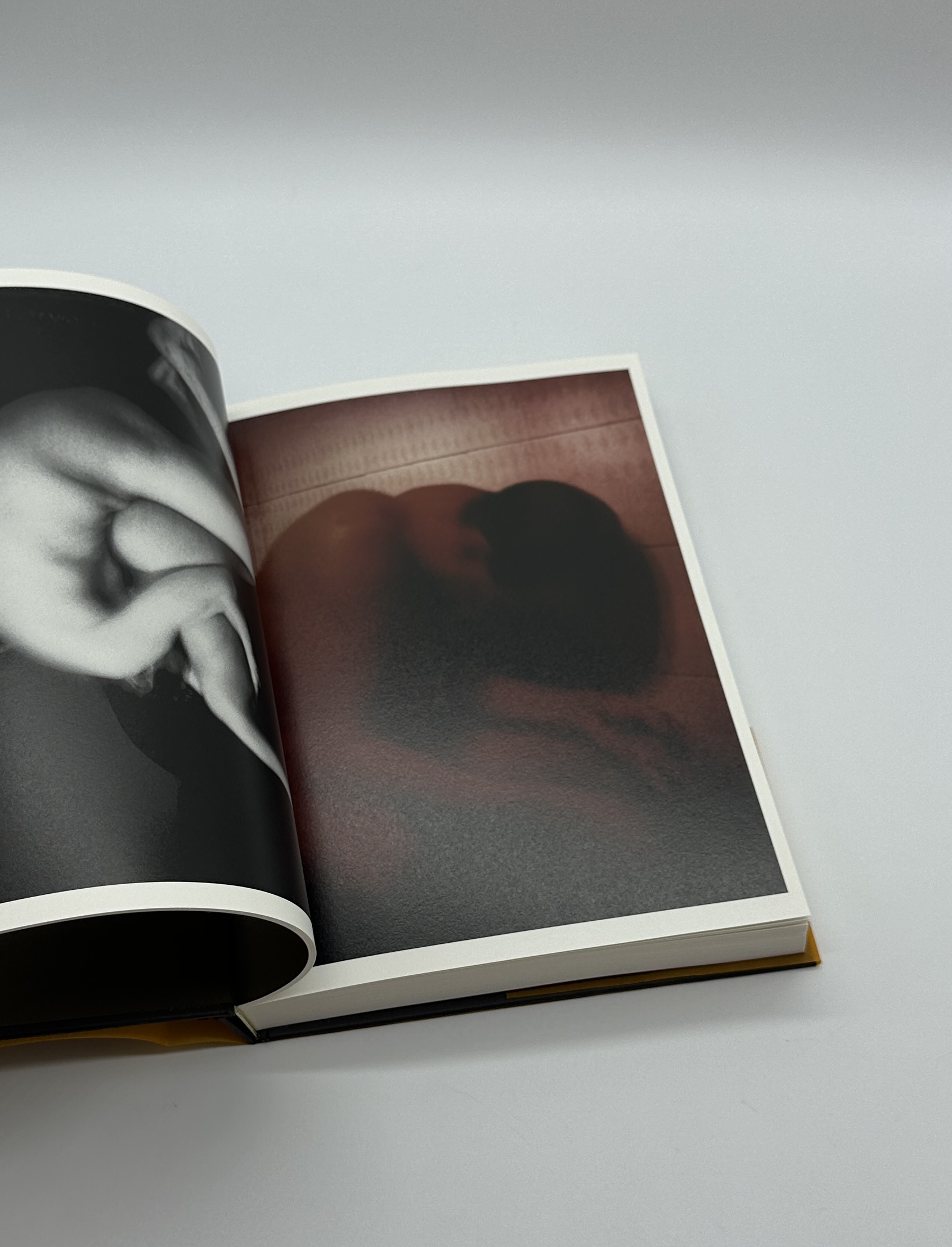 Self-Portraits 1987-2017 - 画像 (6)