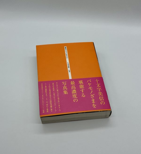 感性のバケモノになりたい