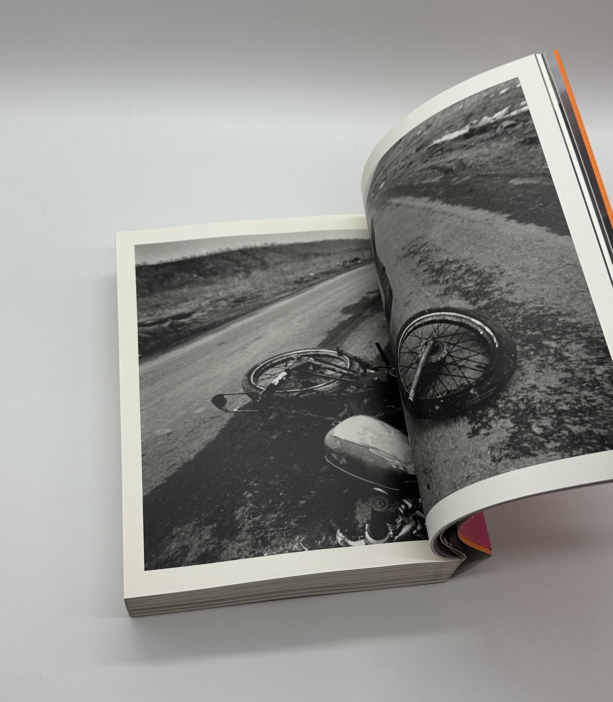 感性のバケモノになりたい - 画像 (3)