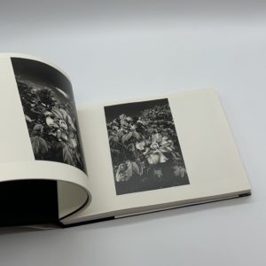 「署名入」全作品 - 画像 (7)