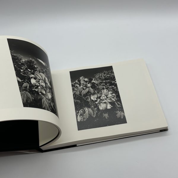 「署名入」全作品