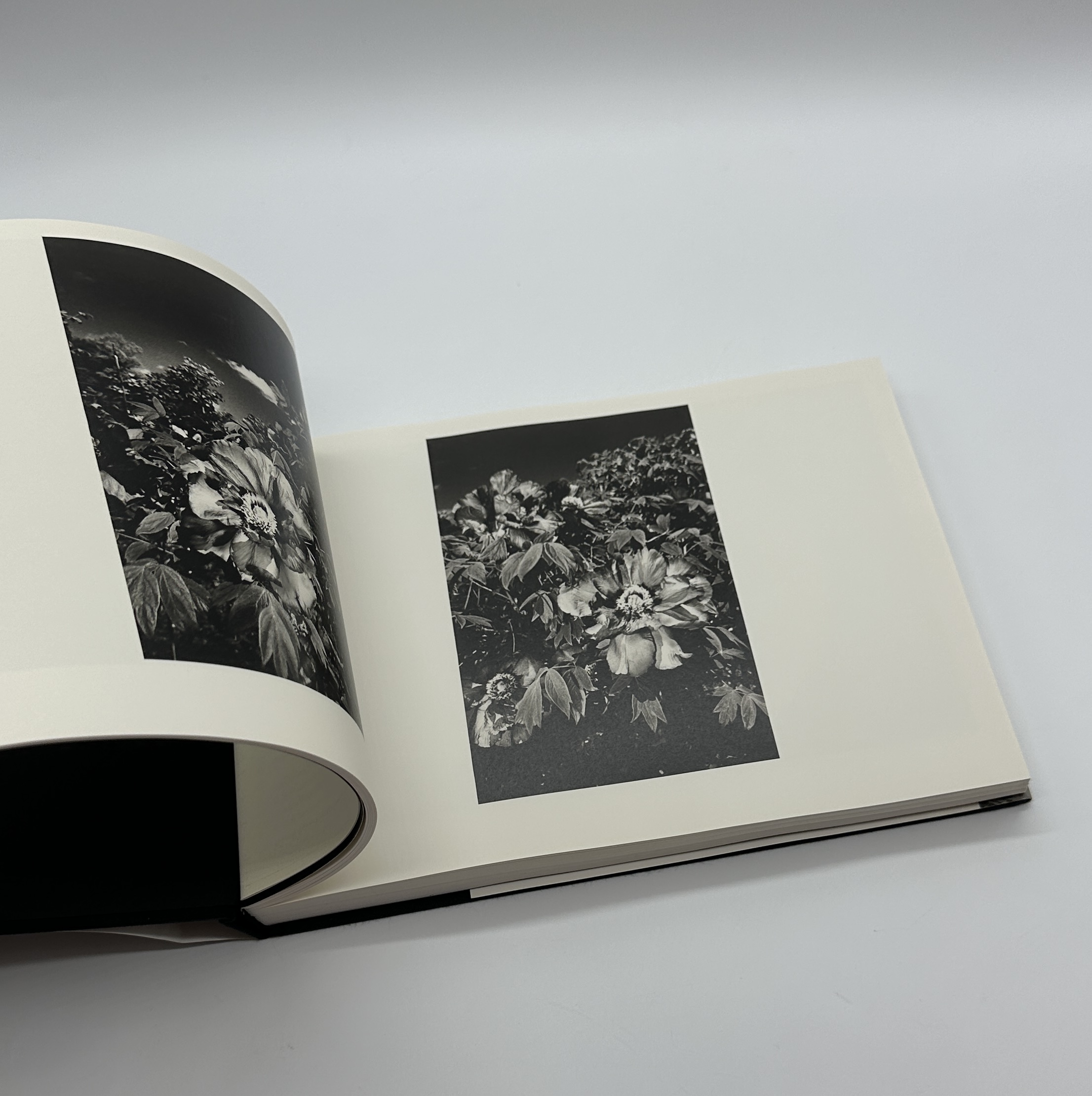 「署名入」全作品 - 画像 (7)