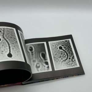 私景　Private Scenes - 画像 (5)