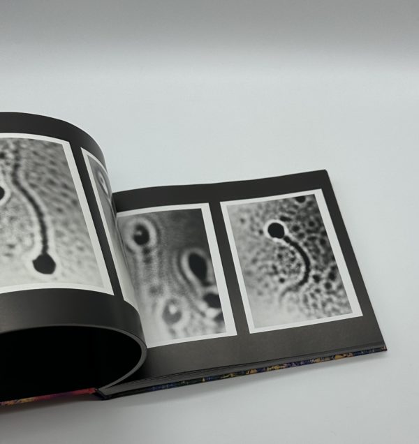 私景　Private Scenes