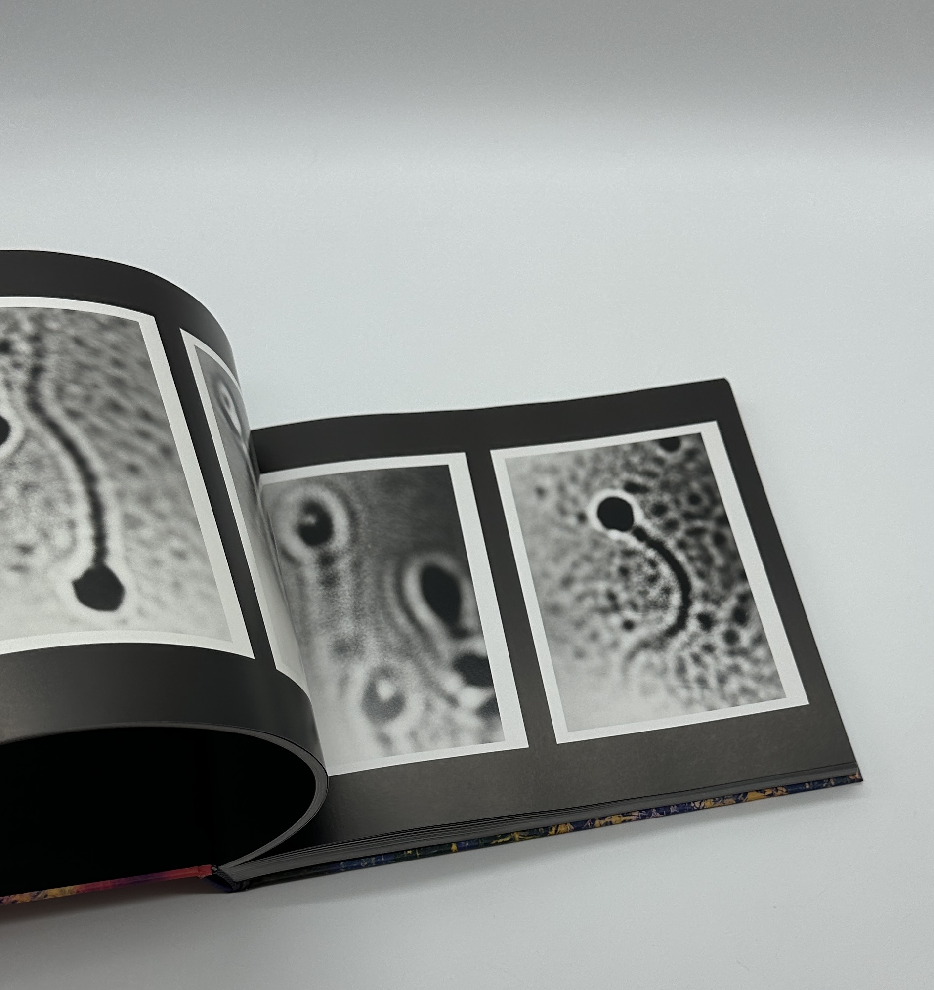 私景　Private Scenes - 画像 (5)