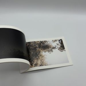 Because I was young - 画像 (10)