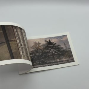 Because I was young - 画像 (9)