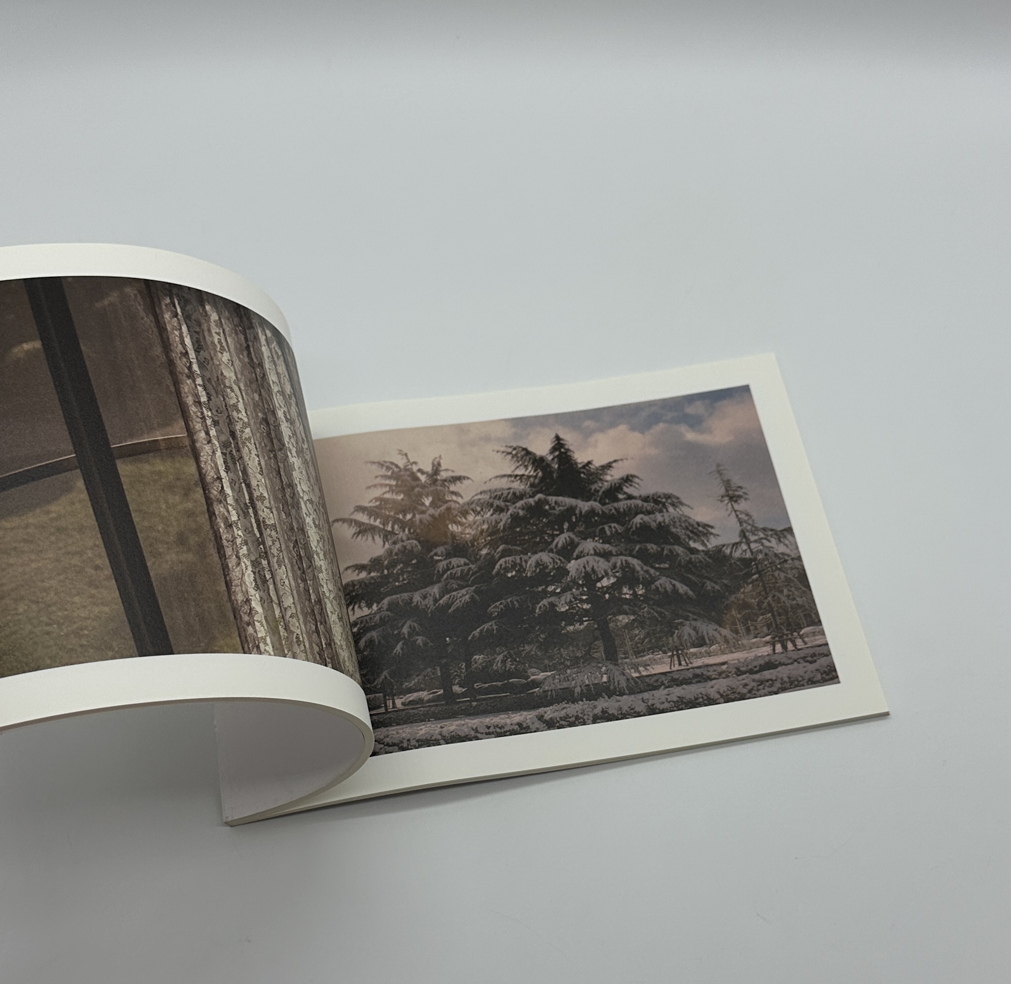 Because I was young - 画像 (9)