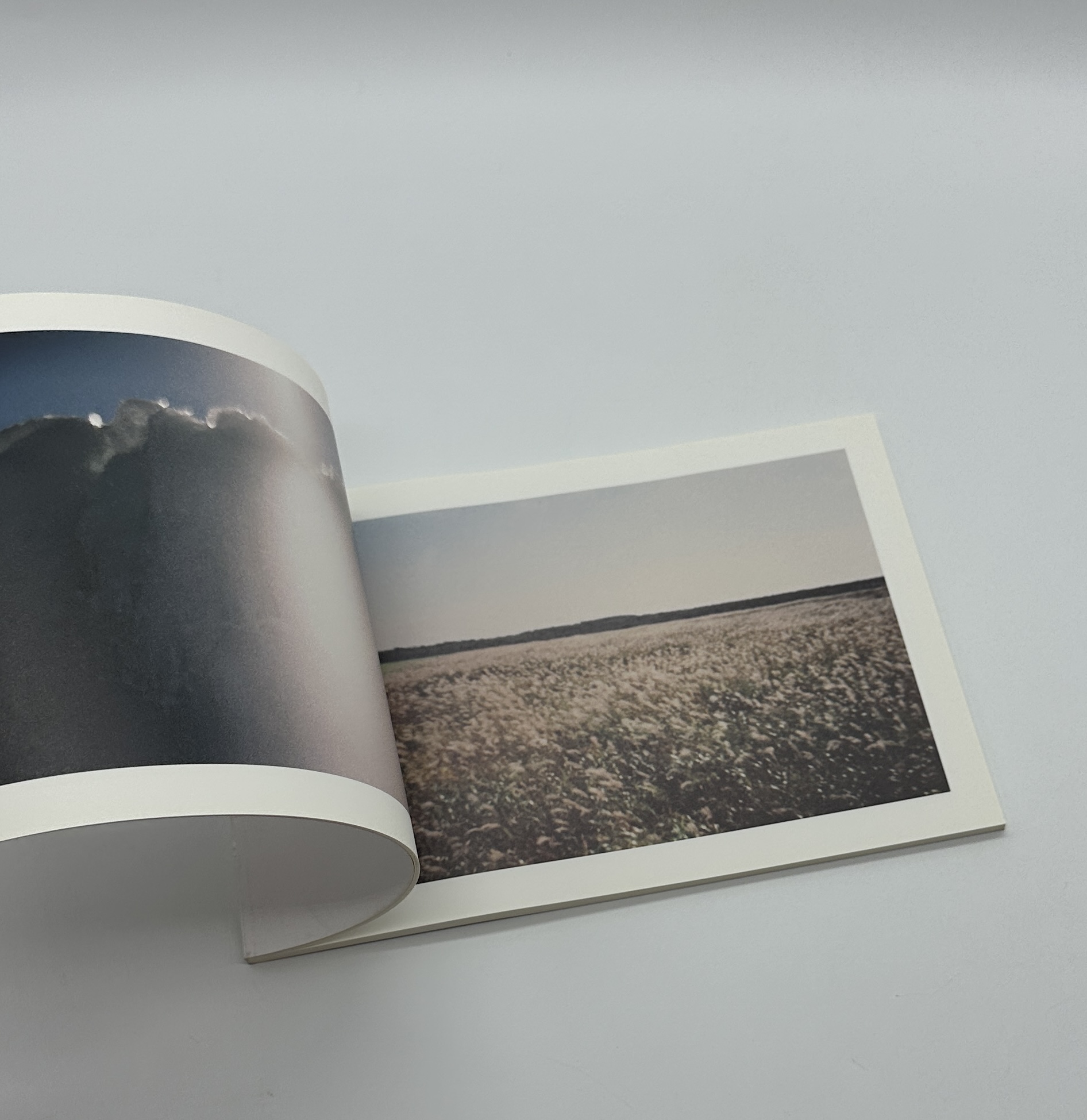 Because I was young - 画像 (4)