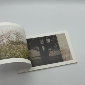 Because I was young - 画像 (3)