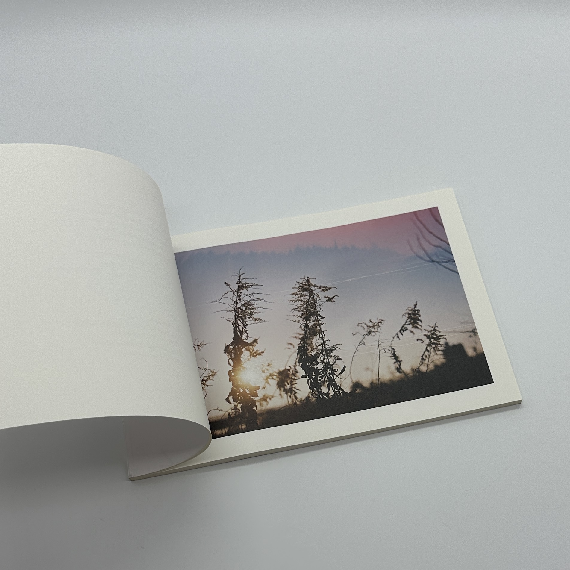 Because I was young - 画像 (2)