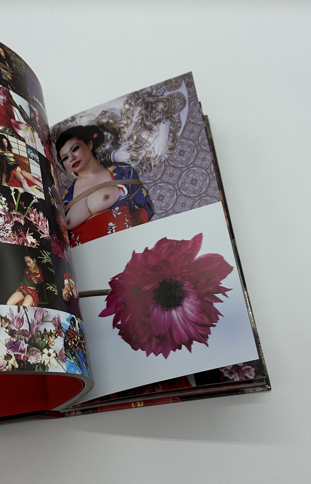 花緊縛　HANA KINBAKU - 画像 (10)