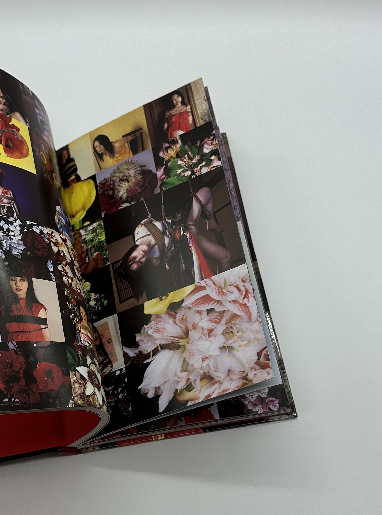 花緊縛　HANA KINBAKU - 画像 (9)