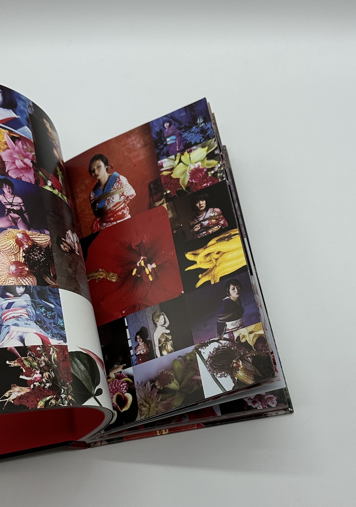 花緊縛　HANA KINBAKU - 画像 (8)