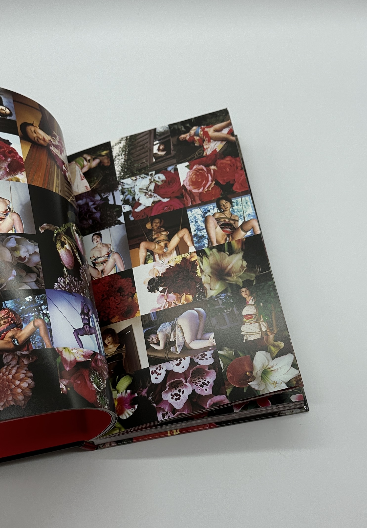 花緊縛　HANA KINBAKU - 画像 (6)