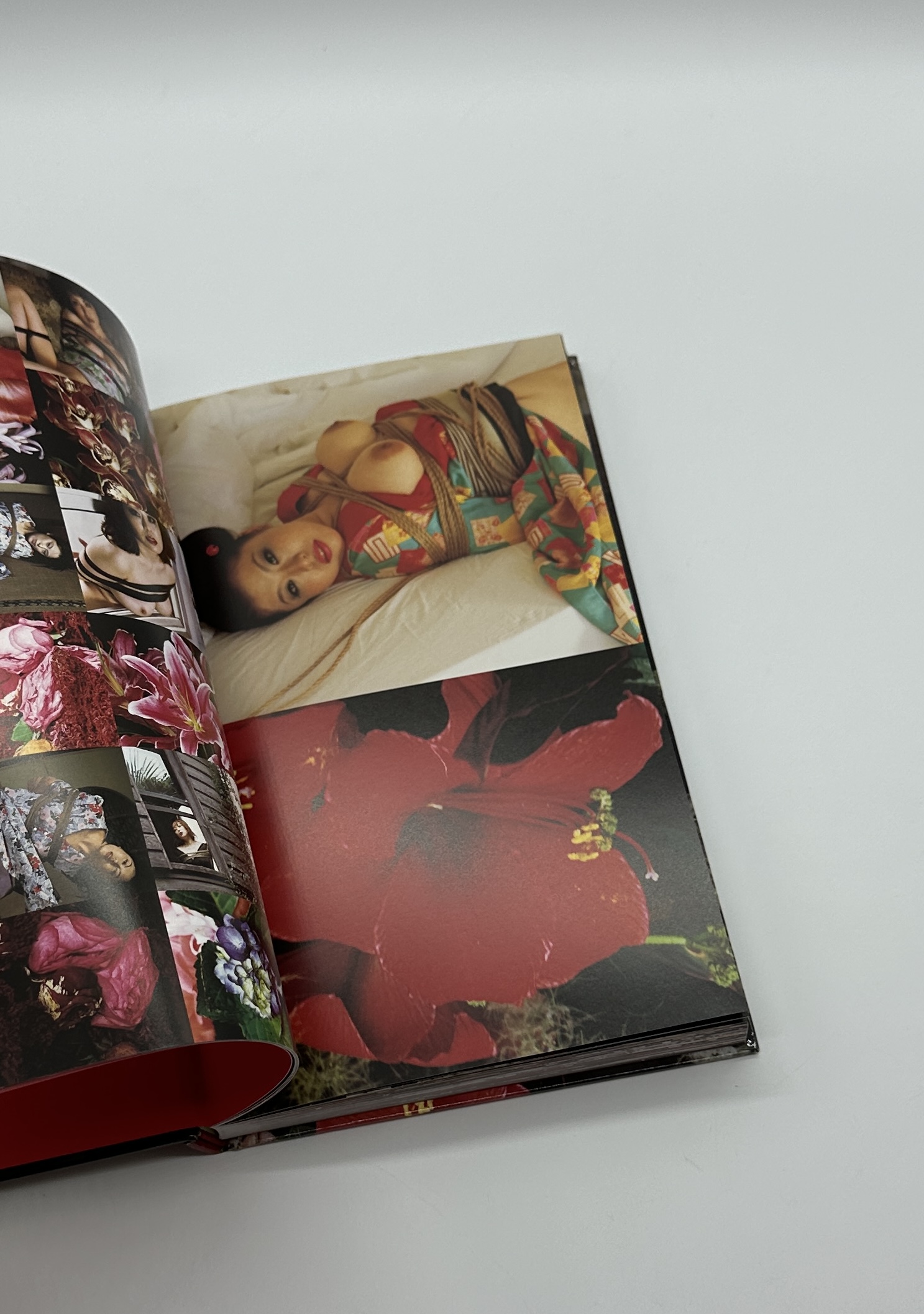 花緊縛　HANA KINBAKU - 画像 (4)