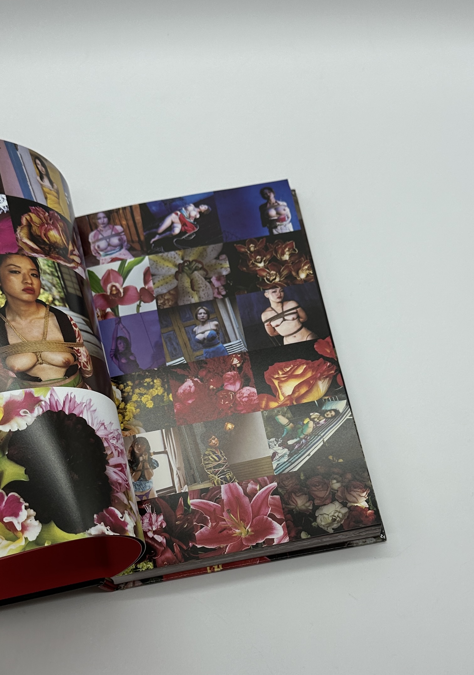 花緊縛　HANA KINBAKU - 画像 (3)