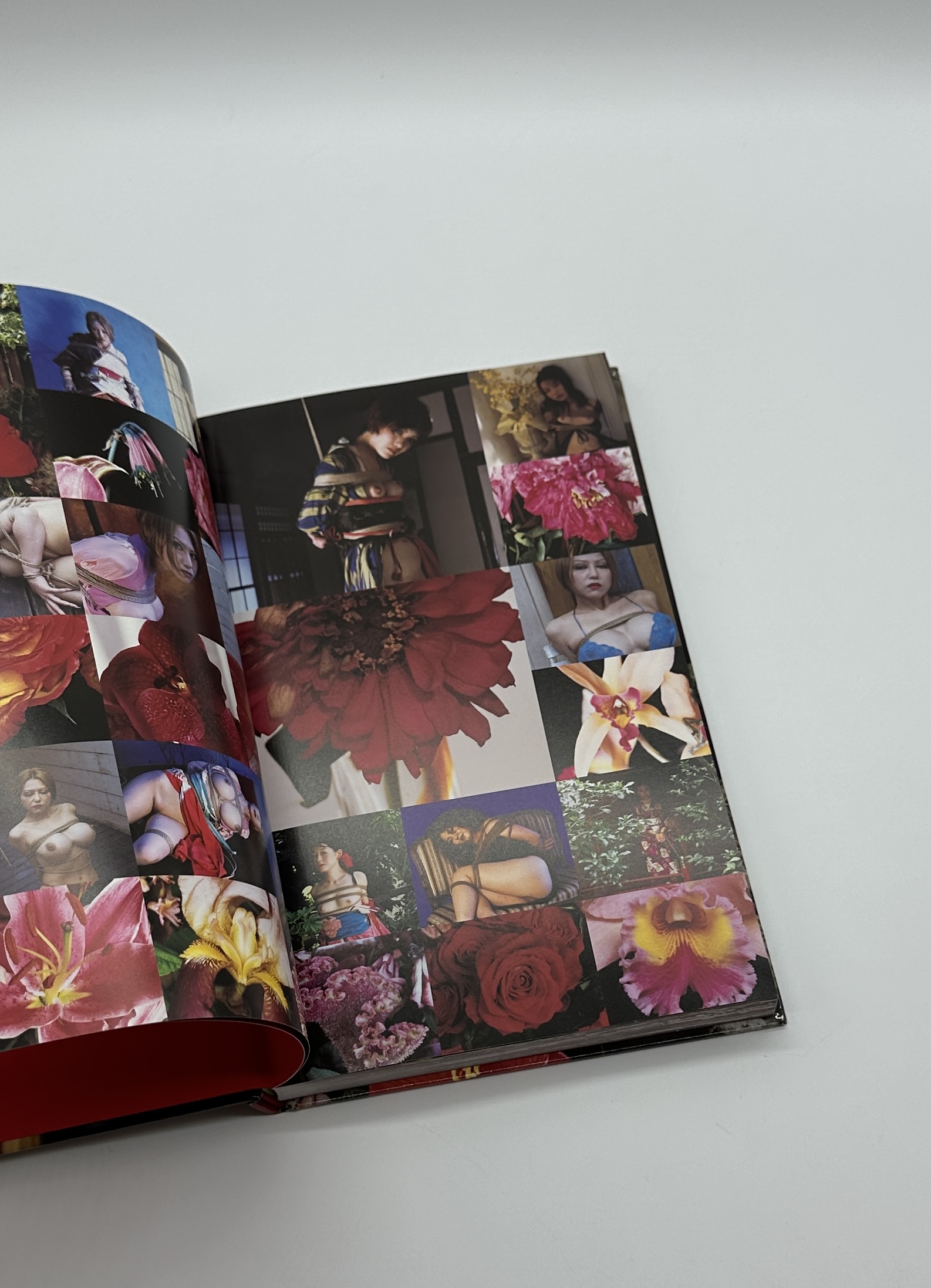 花緊縛　HANA KINBAKU - 画像 (2)