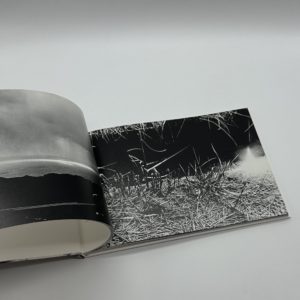 春は曙 - 画像 (6)