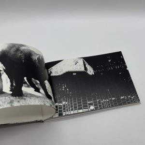 春は曙 - 画像 (7)