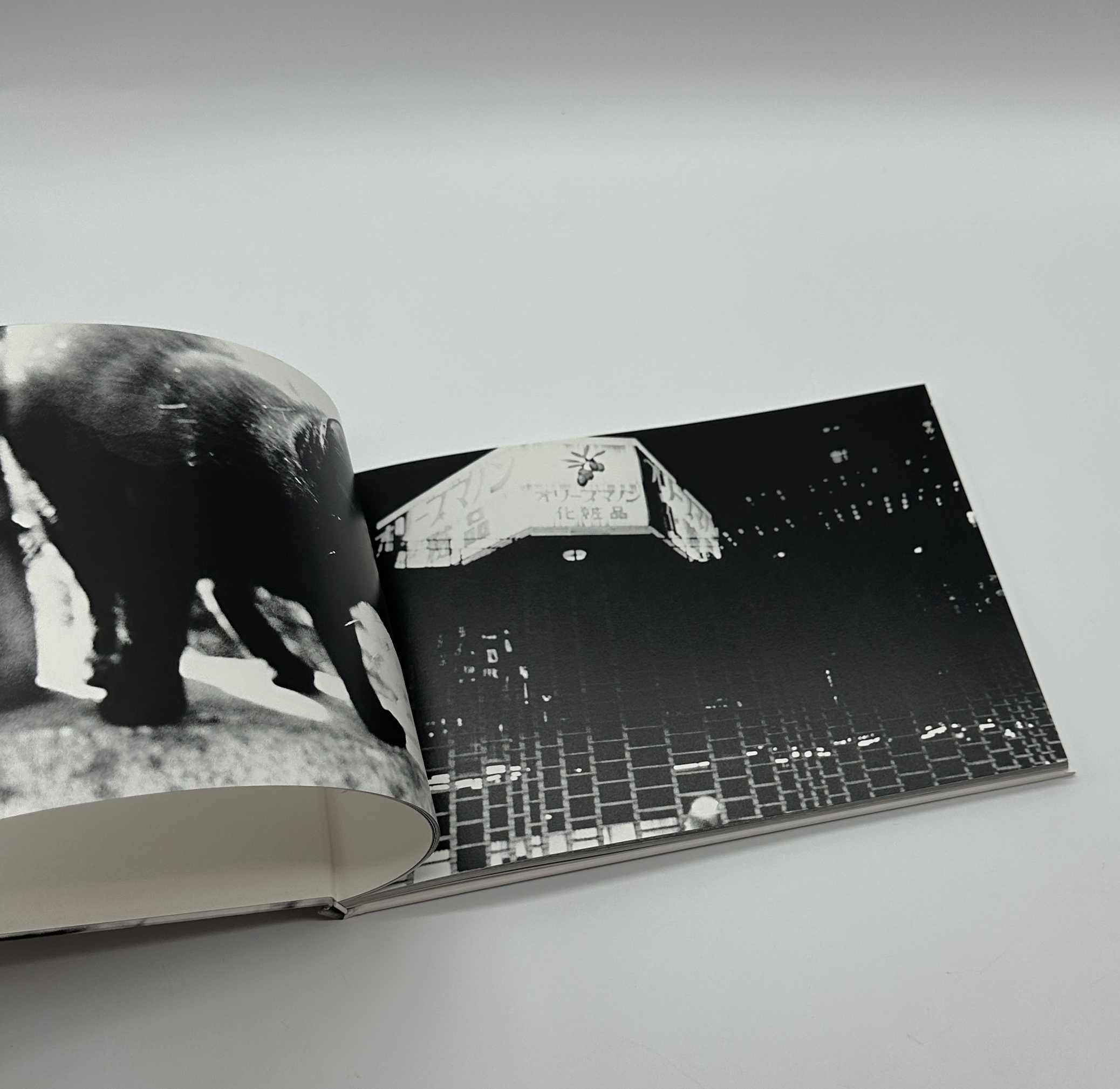 春は曙 - 画像 (7)