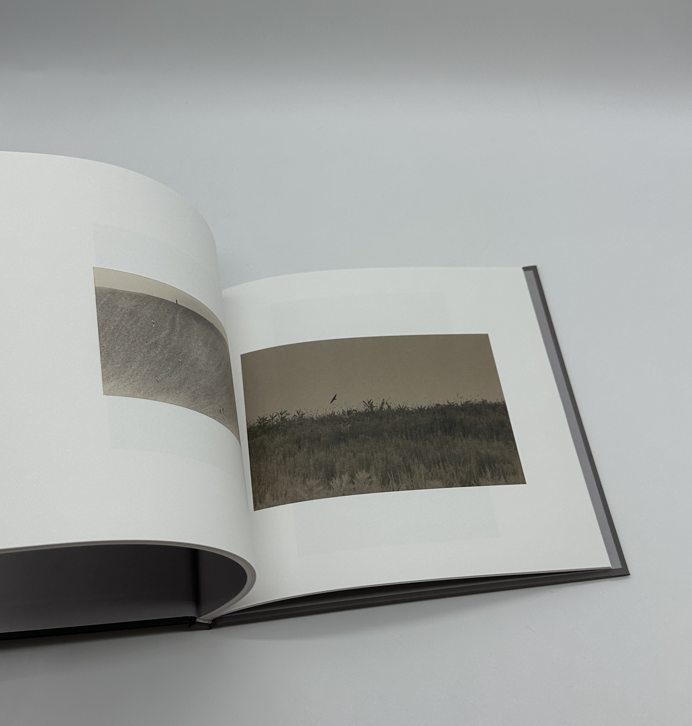 SASANAMI - 画像 (10)