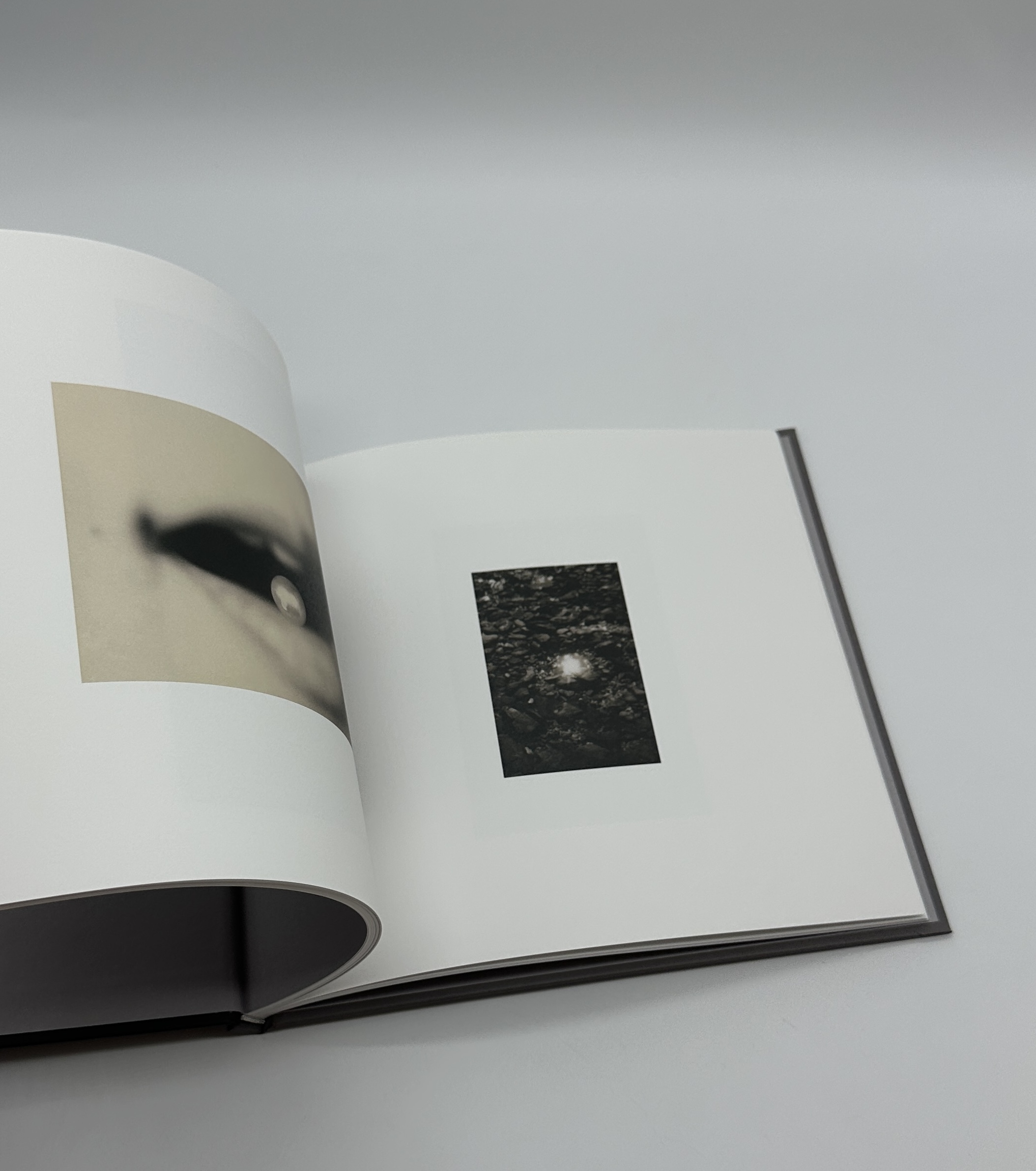 SASANAMI - 画像 (9)