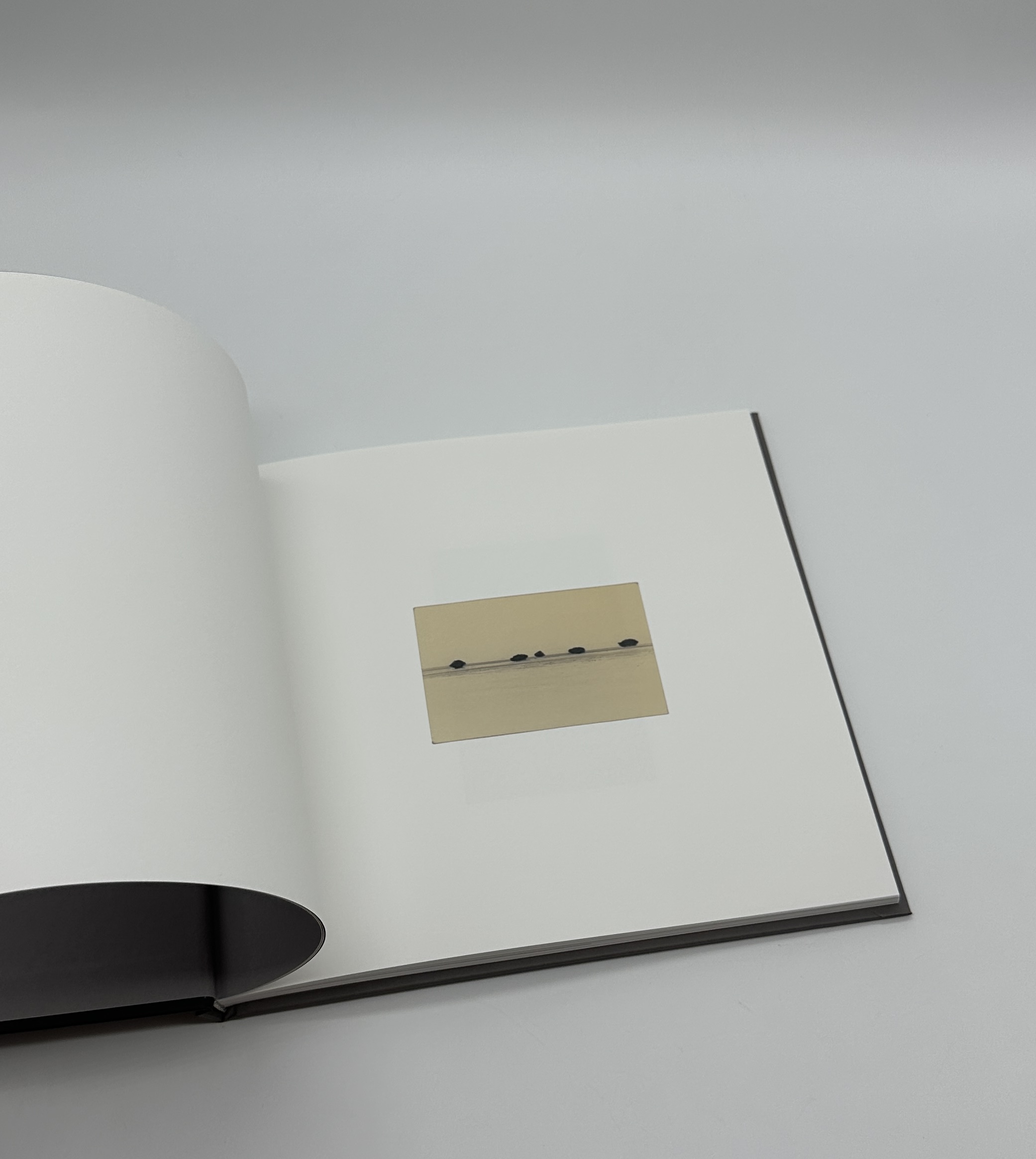 SASANAMI - 画像 (2)