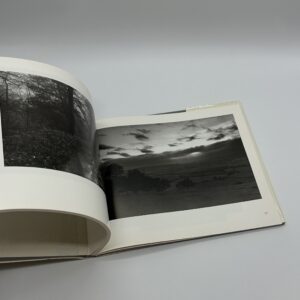 OPEN SKIES - 画像 (9)