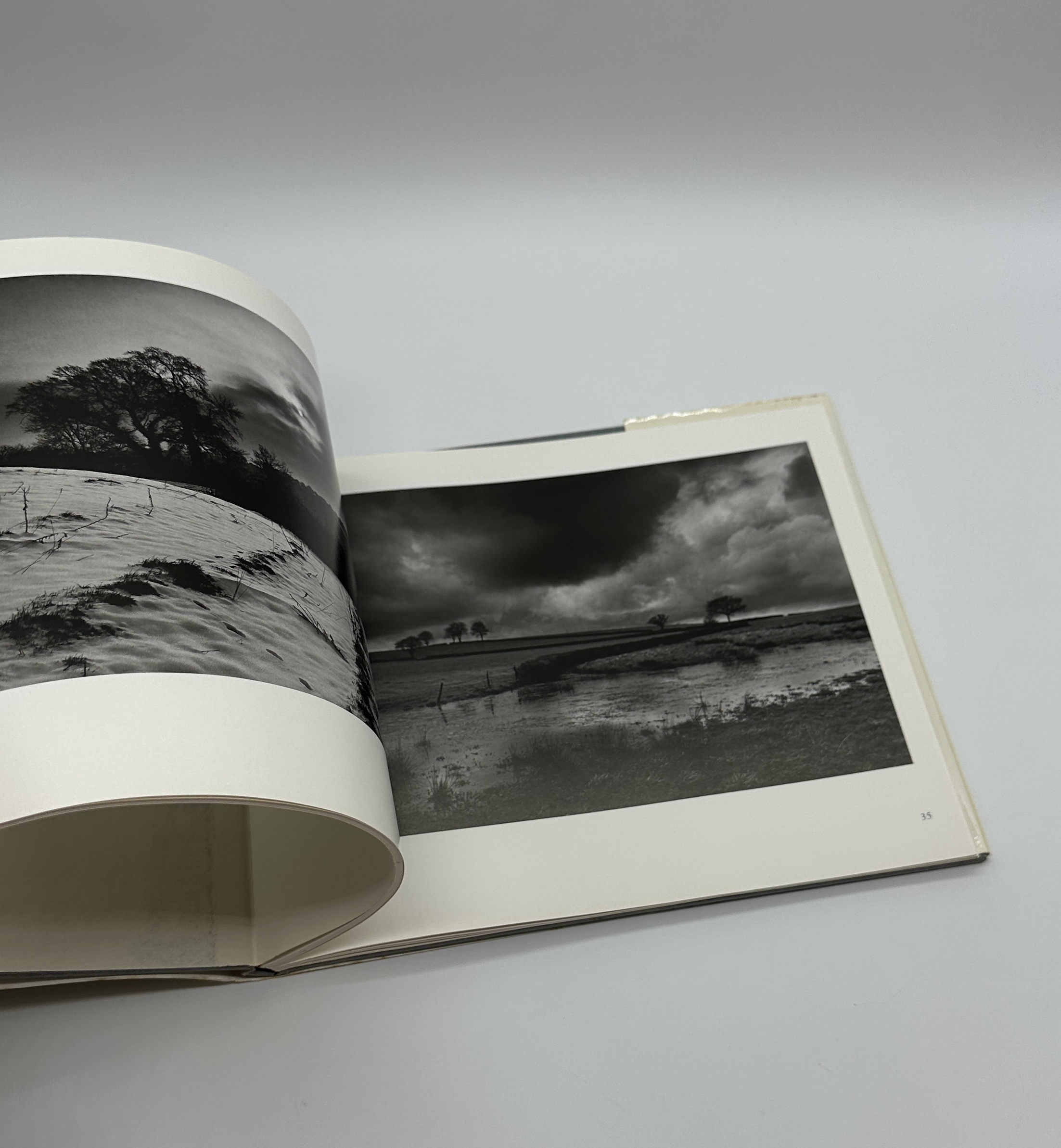 OPEN SKIES - 画像 (7)