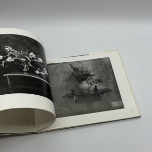 OPEN SKIES - 画像 (6)