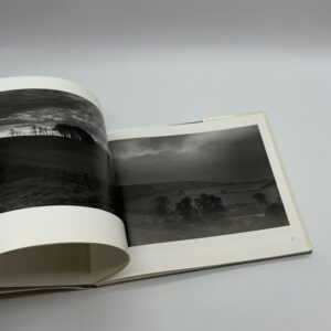 OPEN SKIES - 画像 (5)