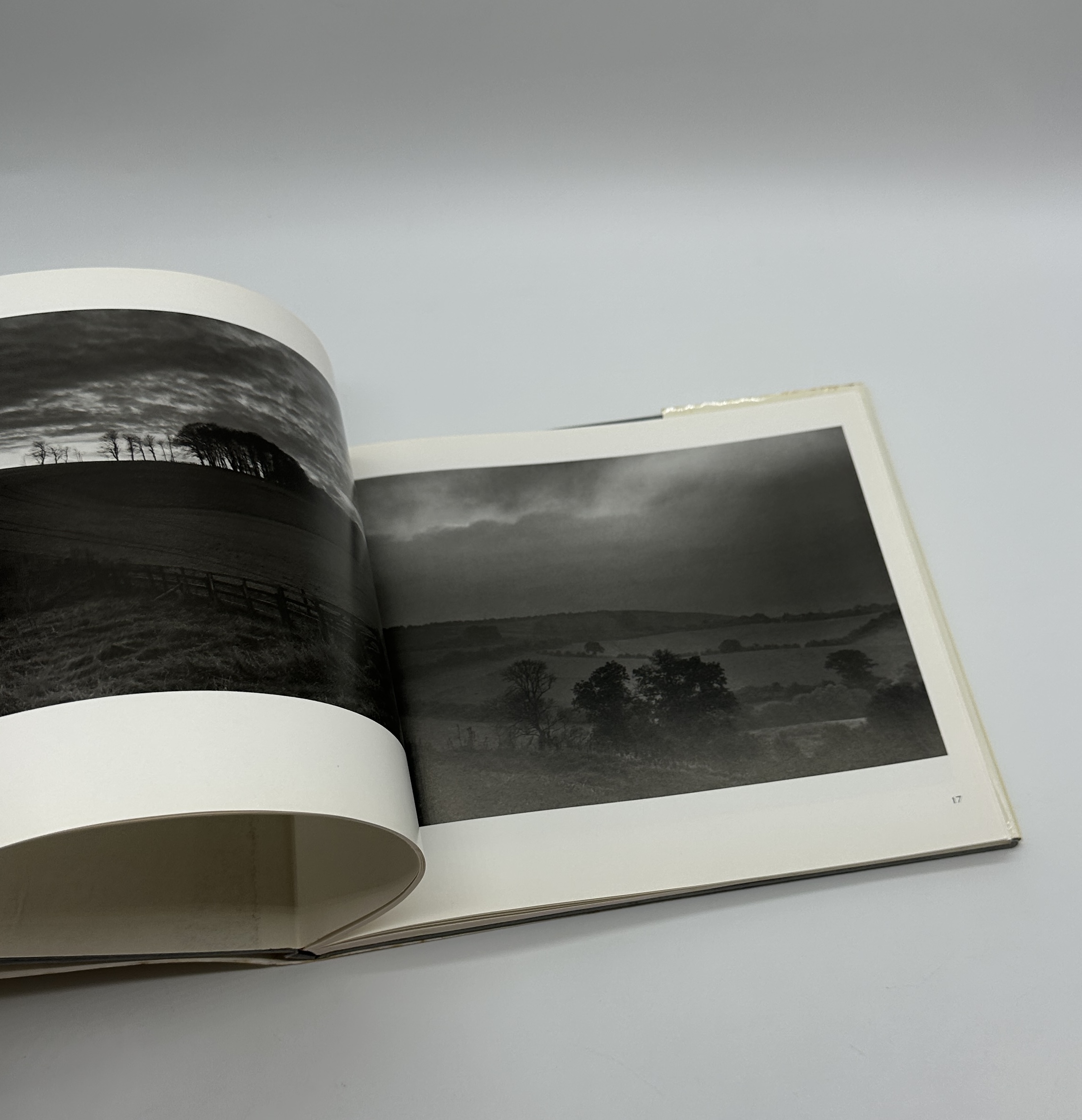 OPEN SKIES - 画像 (5)