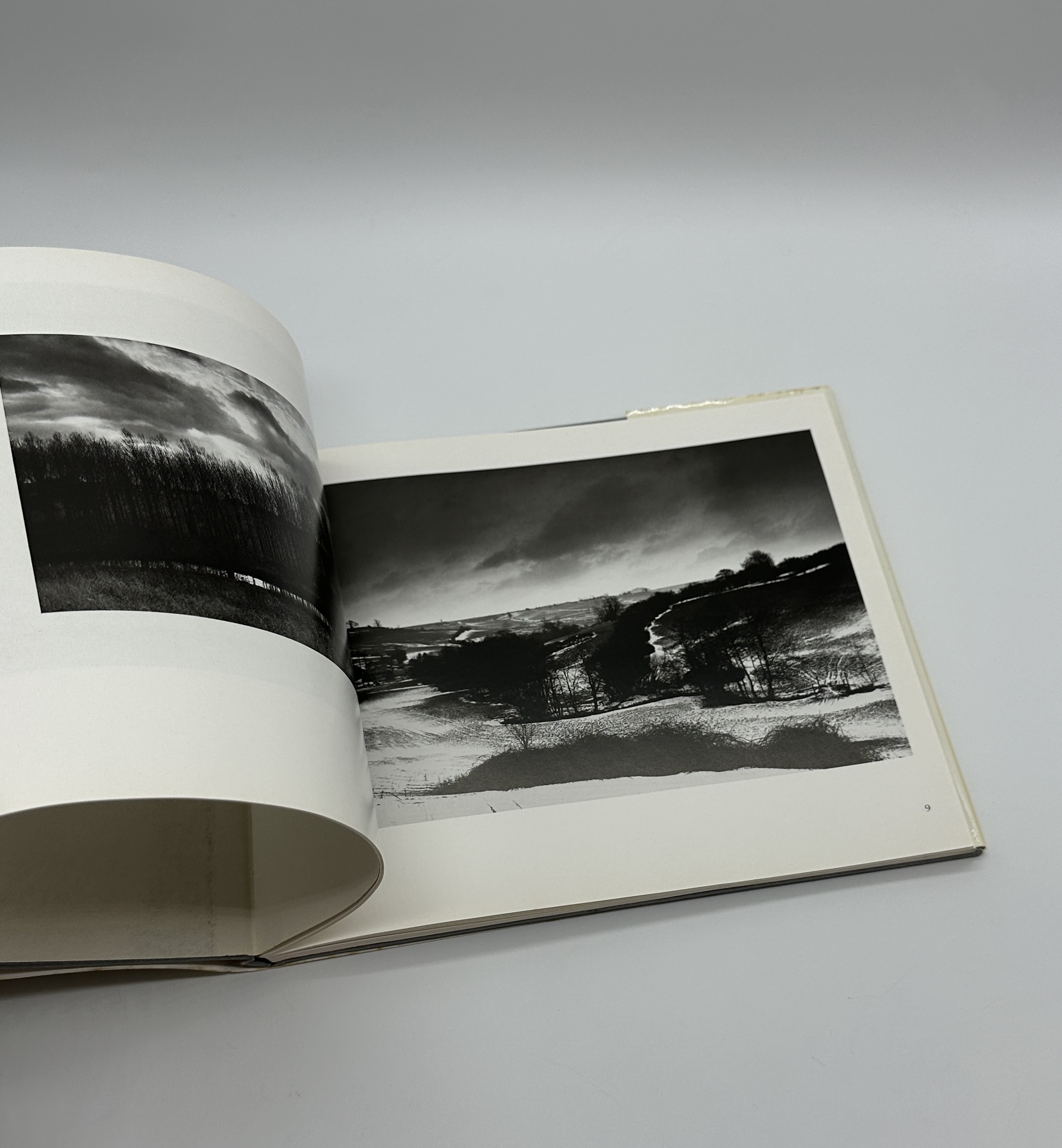 OPEN SKIES - 画像 (4)