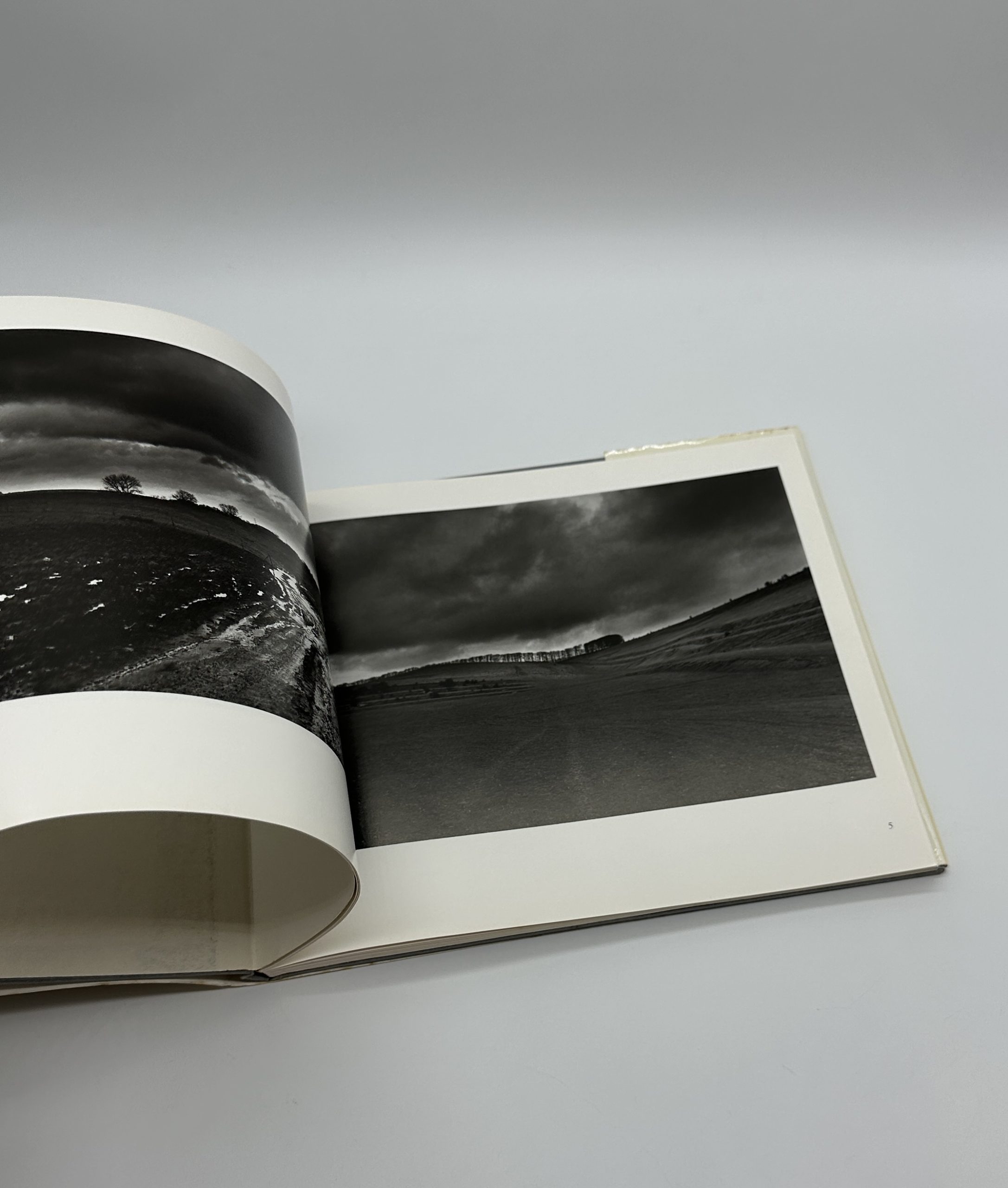 OPEN SKIES - 画像 (3)