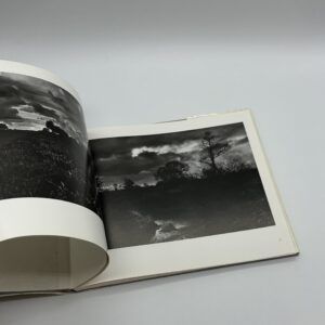 OPEN SKIES - 画像 (2)