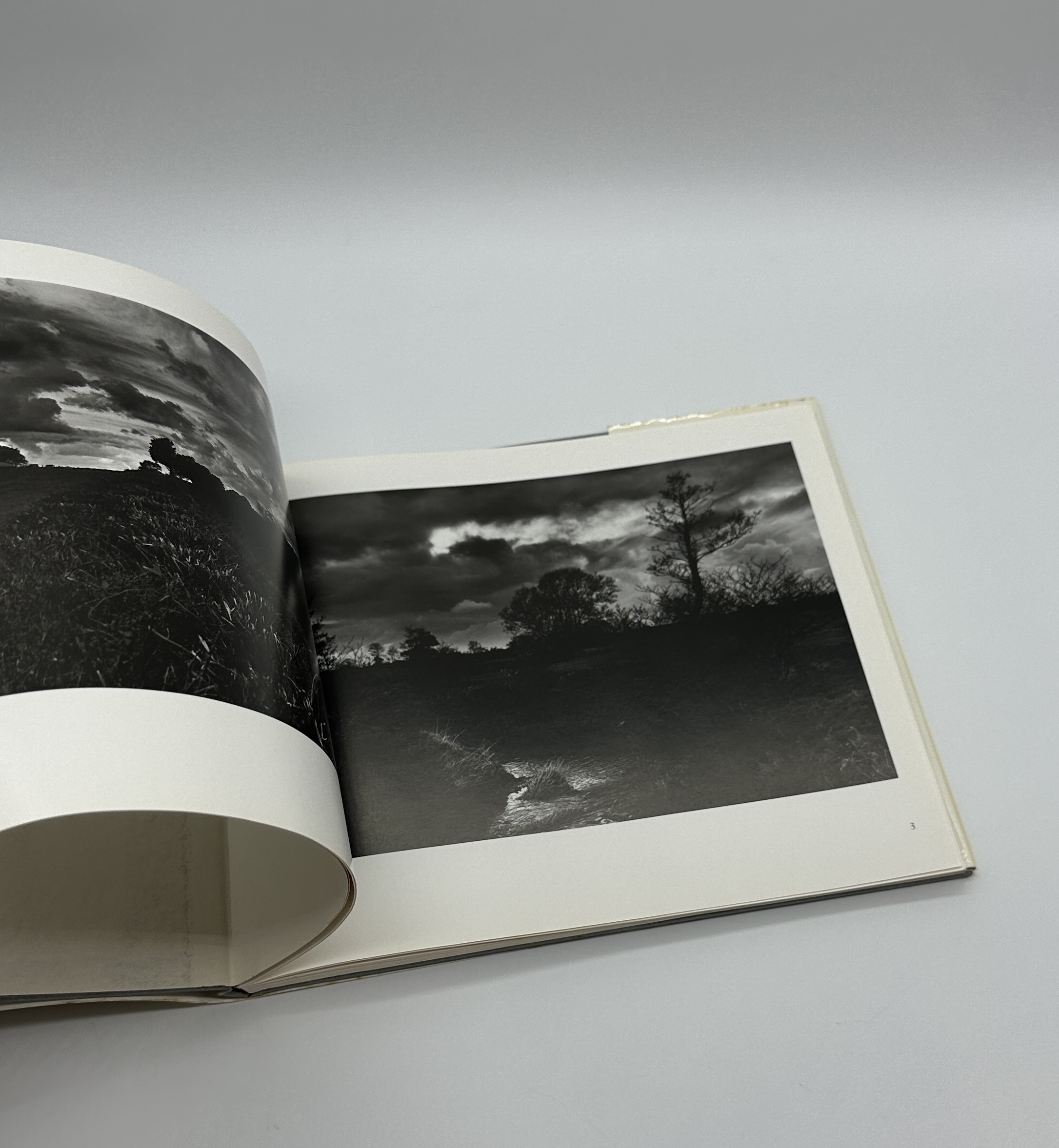 OPEN SKIES - 画像 (2)