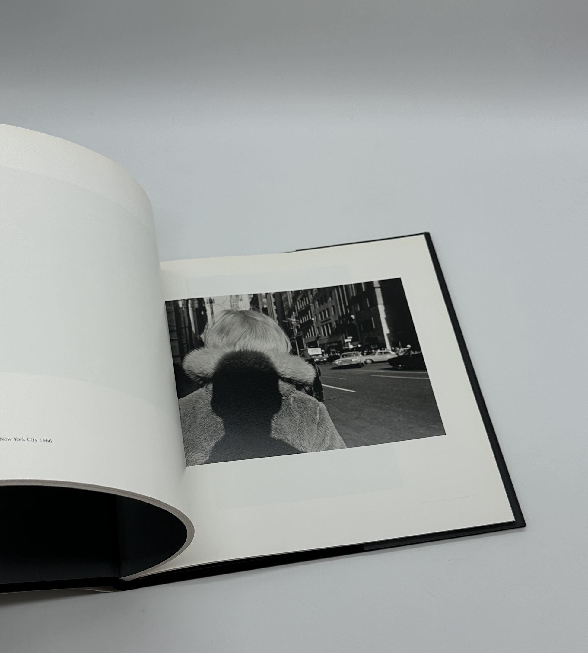 Self Portrait - 画像 (10)