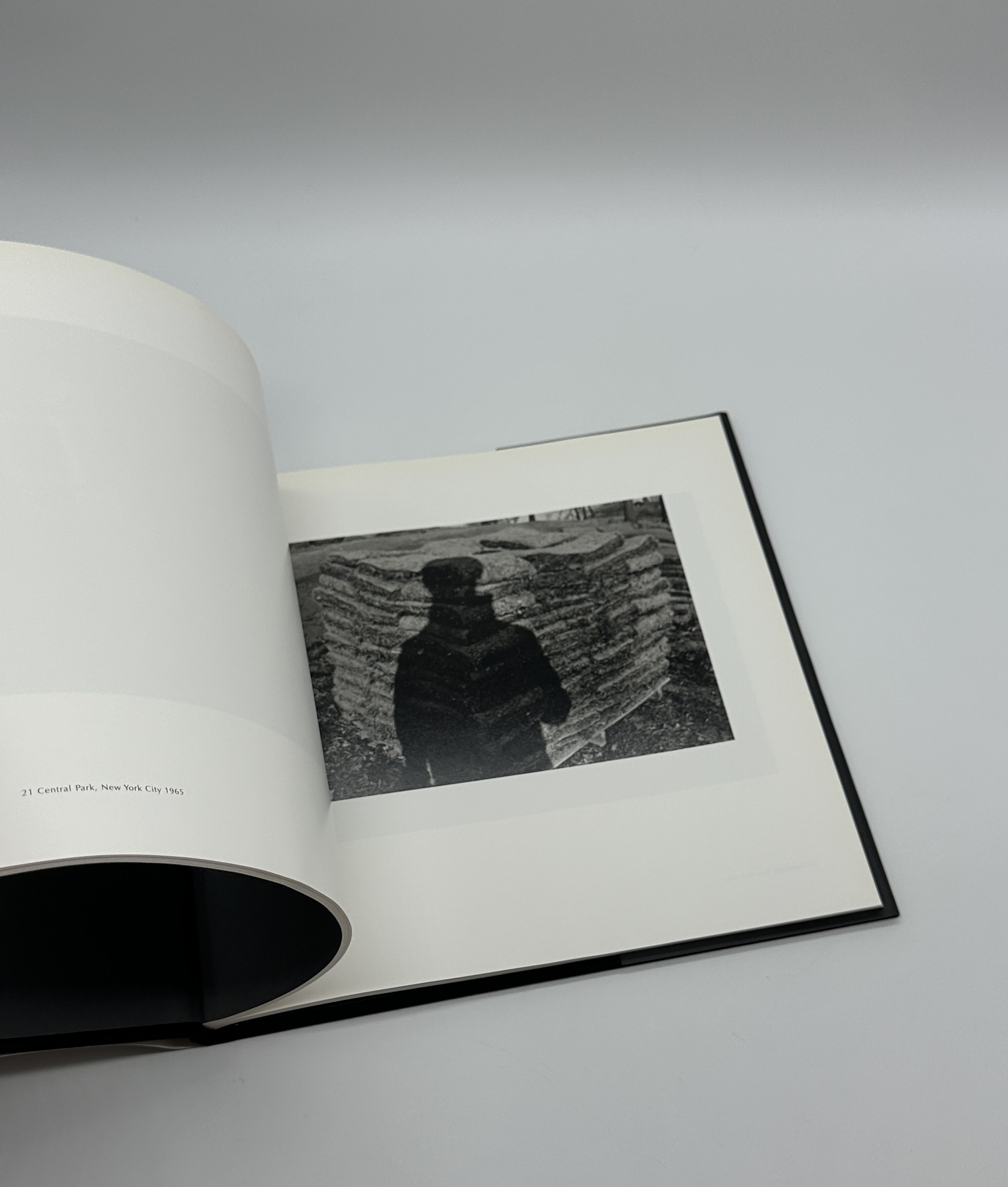 Self Portrait - 画像 (9)