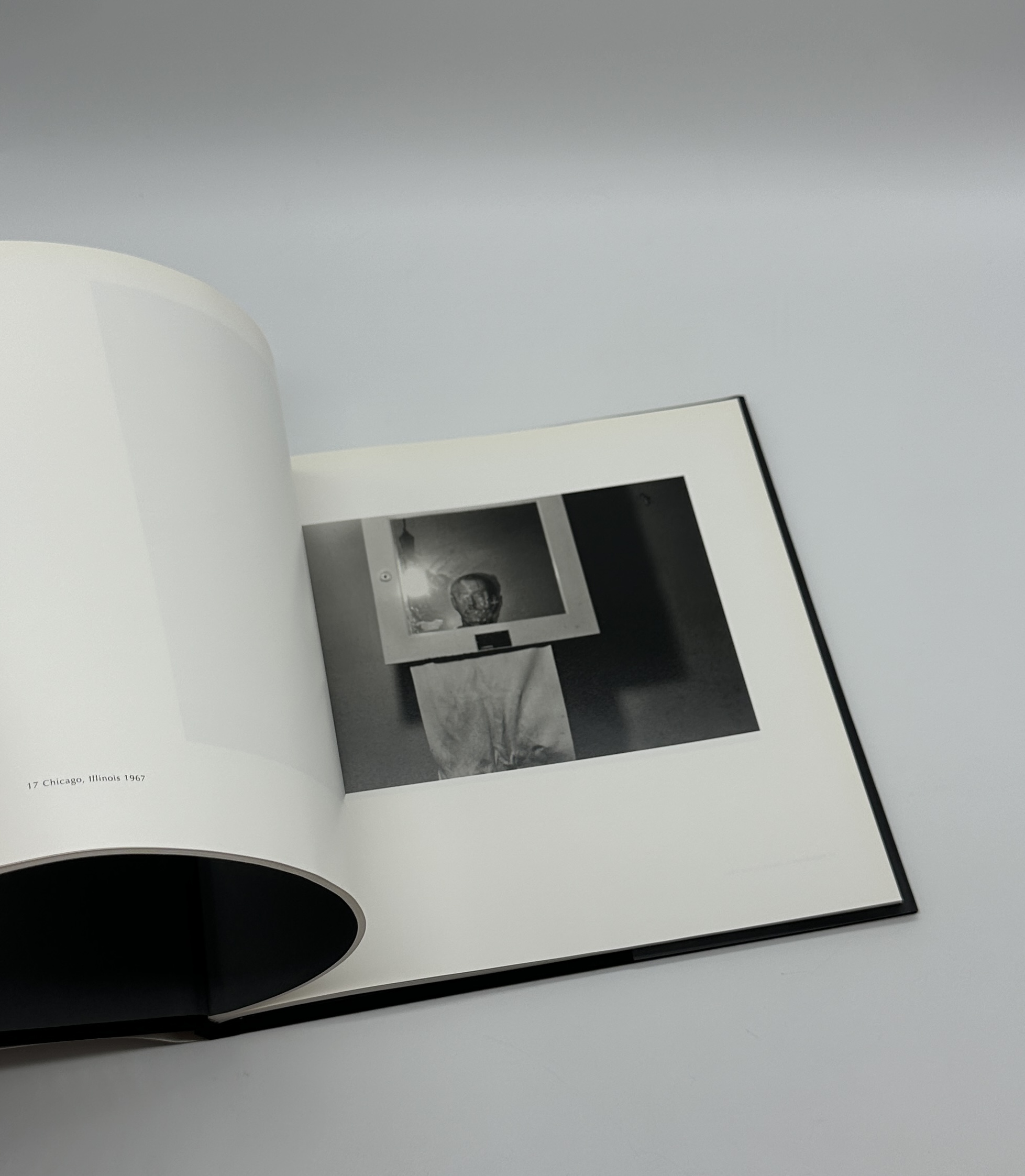 Self Portrait - 画像 (8)