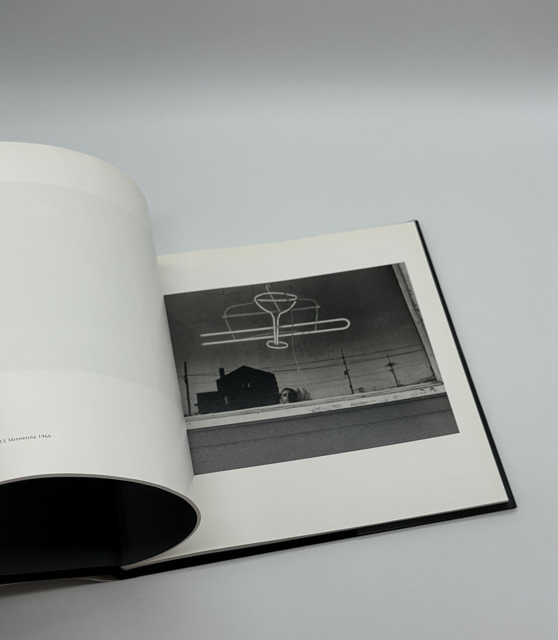 Self Portrait - 画像 (7)