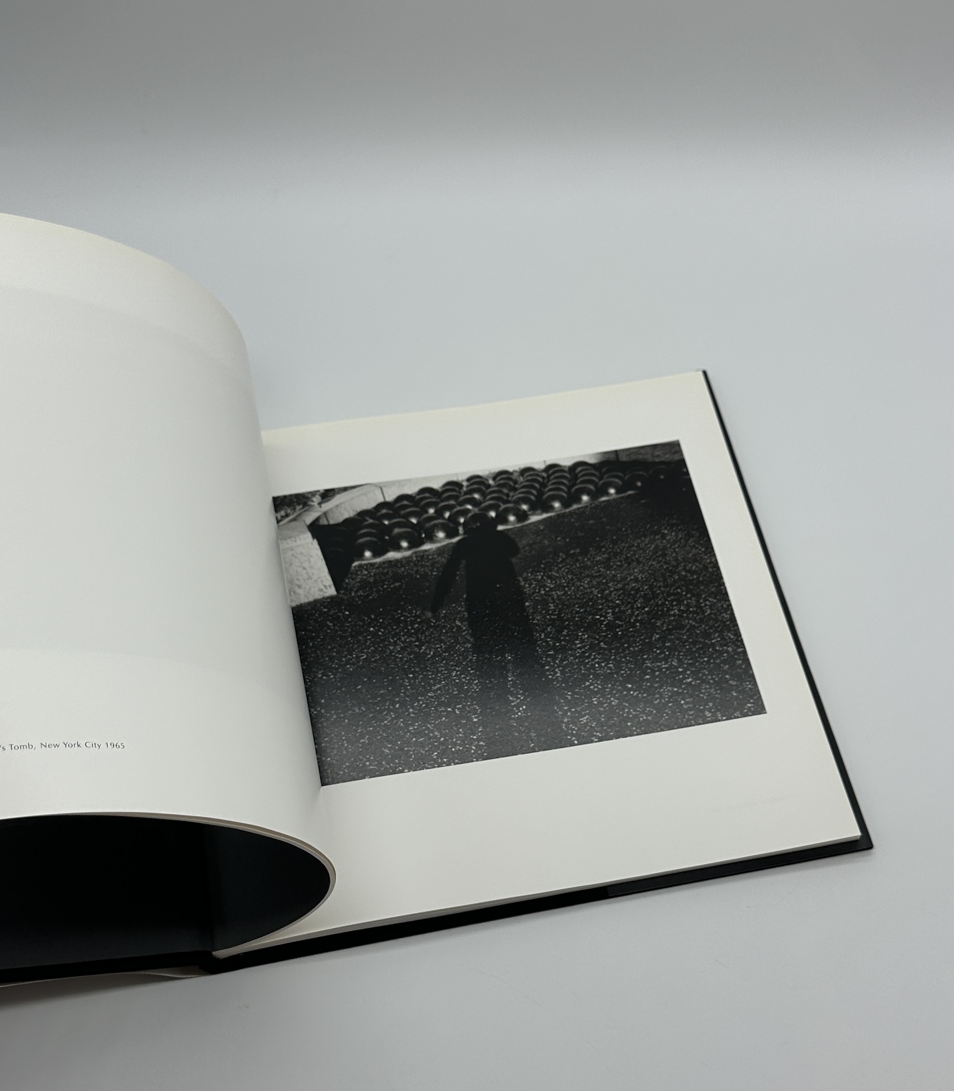 Self Portrait - 画像 (6)