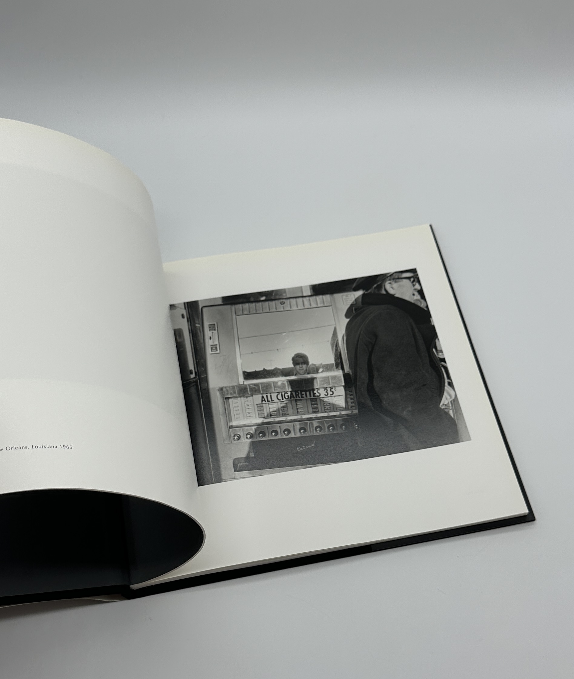 Self Portrait - 画像 (5)