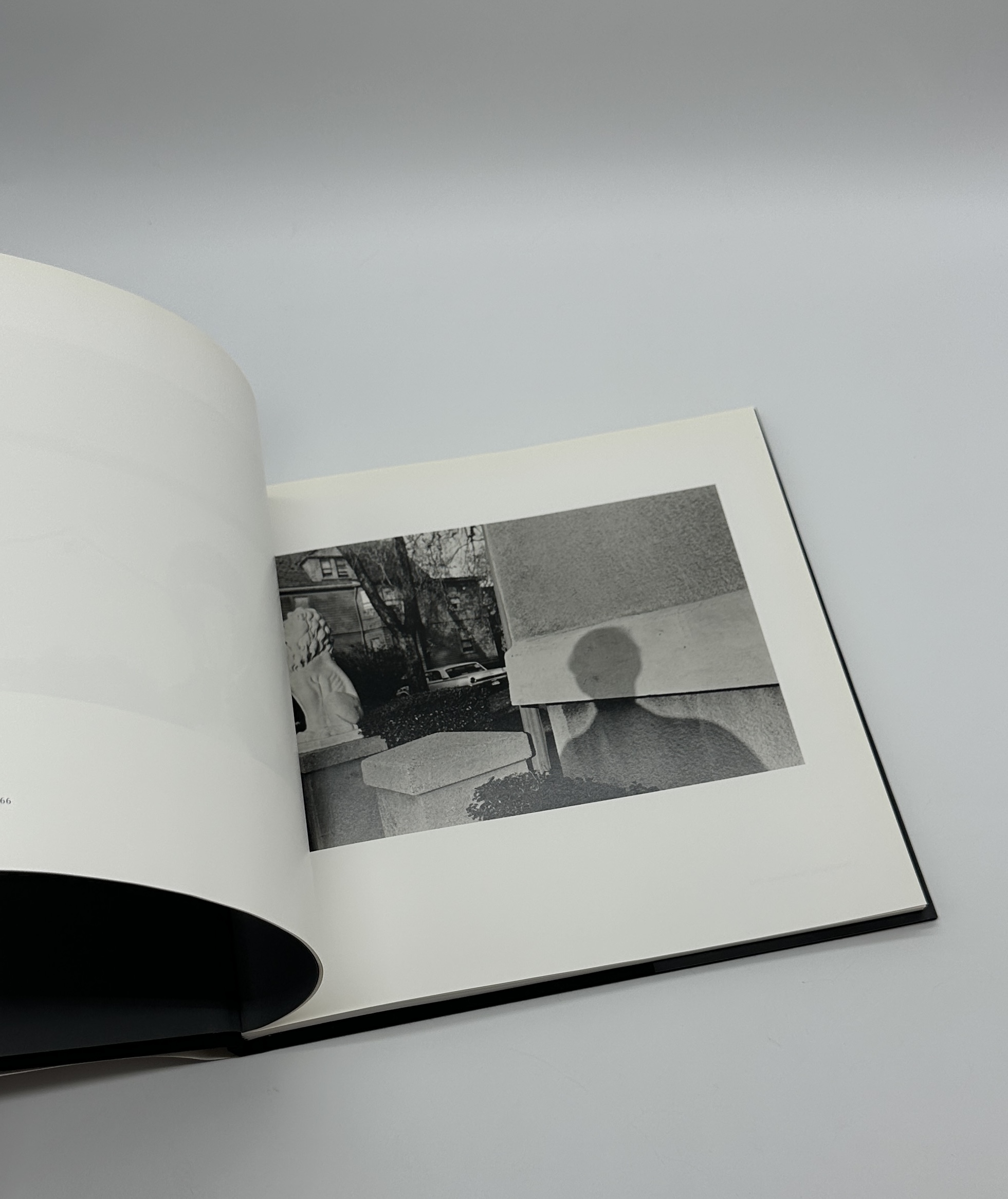 Self Portrait - 画像 (3)