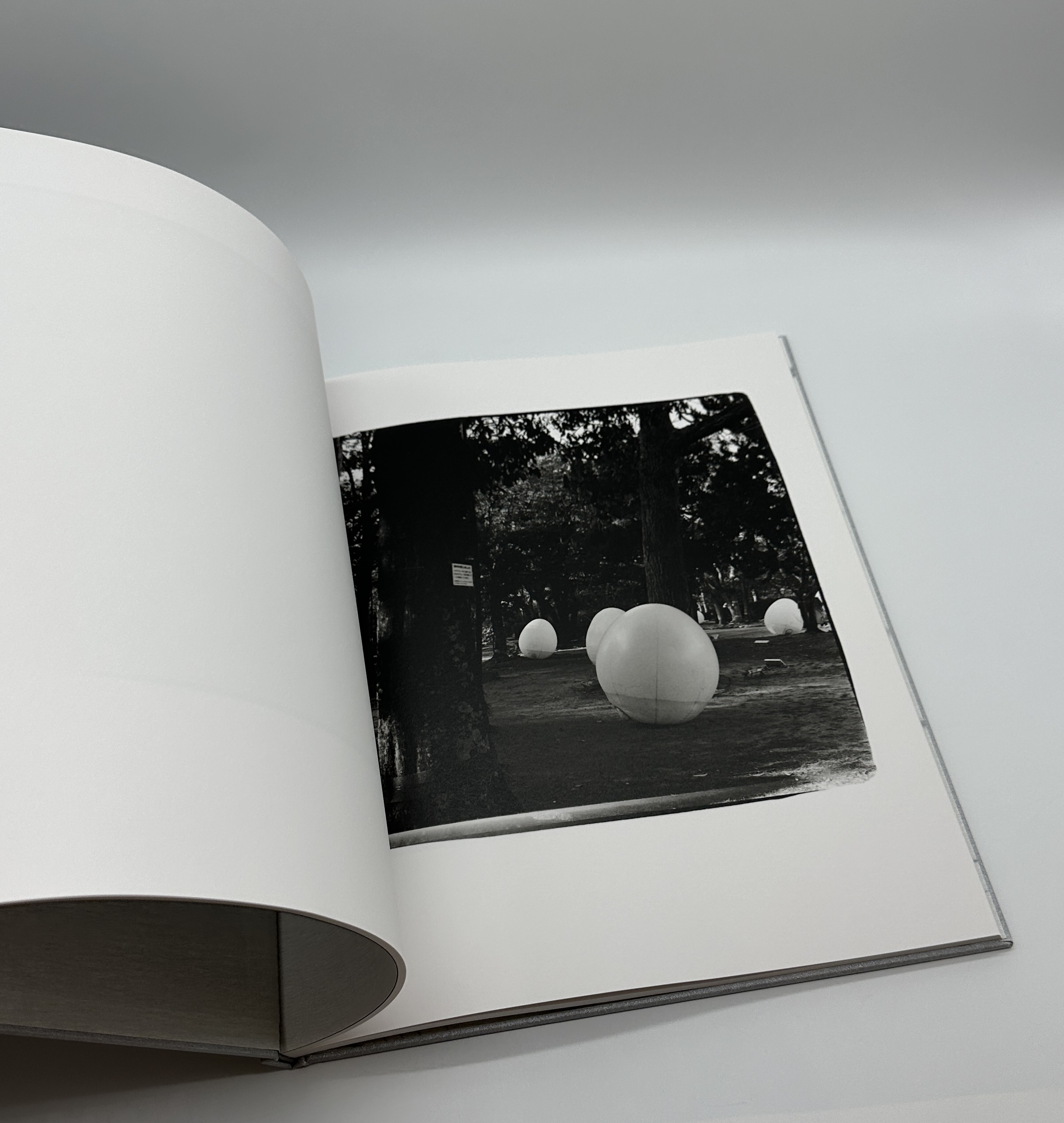 神息の音 - 画像 (8)